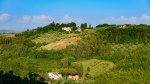 05_San Miniato TP7_0256